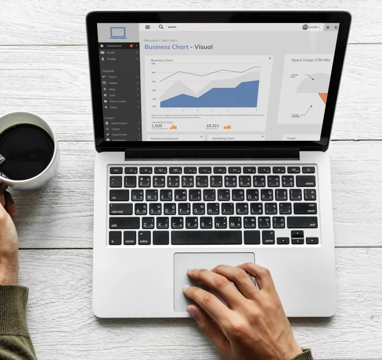 servicios de SEM en Querétaro