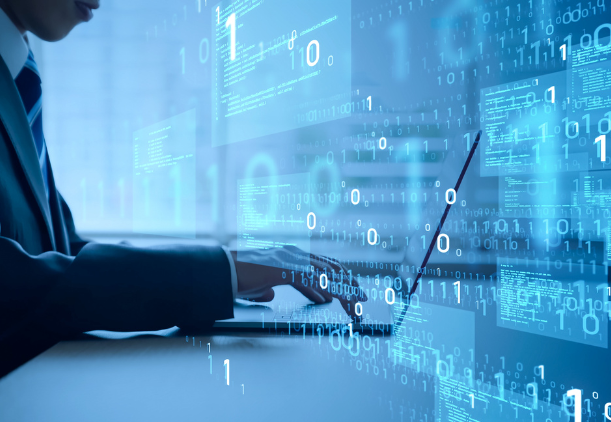 Desarrollo de software personalizado en Querétaro